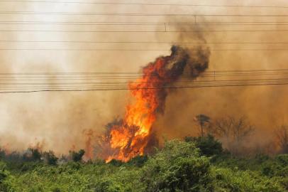 IncÃªndio Florestal atinge vegetaÃ§Ã£o no Pantanal (MS)CORUMBÁ, MS, 30.10.2019 - INCÊNDIO-FLORESTAL-MS - Incêndio florestal atinge vegetação do Pantanal, entre as cidades de Miranda e Corumbá, no Mato Grosso do Sul, na quarta-feira (30). Motoristas enfrentam dificuldades com a visibilidade na BR-262 por conta da fumaça. (Foto: Chico Ribeiro/Folhapress)