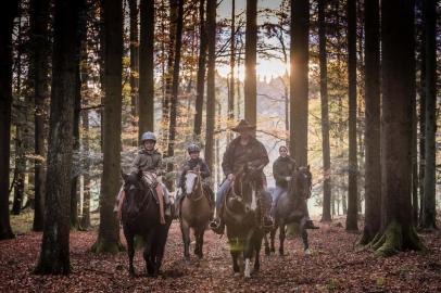 Fotógrafo registra cavalos crioulos pela Europa. A foto é em propriedade na Alemanha. 