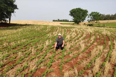 Agricultor Adilson Hintz passou a se dedicar exclusivamente ao cultivo de soja na propriedade familiar em Coronel Barros, no Noroeste do Estado. Hoje, cultiva 50 hectares do grão.