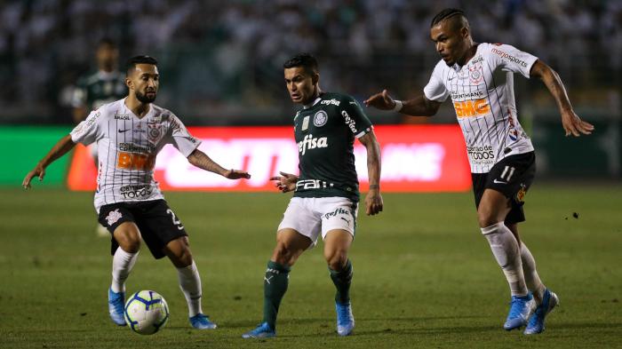 Palmeiras / Divulgação