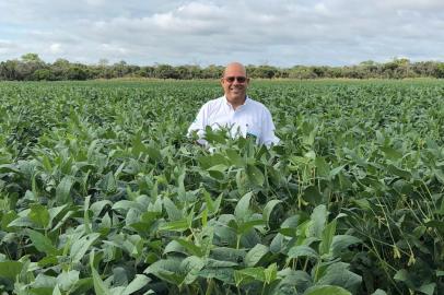 Produtor rural paulista formou grupo com gaúchos e paranaenses para cultivar soja (foto) e outros grãos no leste da Bolívia