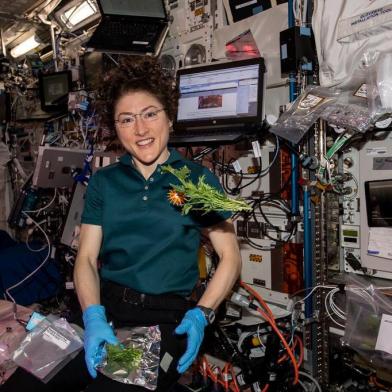 A astronauta da NASA Christina Koch recolhe e empacota verduras de mostarda Mizuna cultivadas e colhidas dentro das instalações de botânica Veggie da Estação Espacial Internacional, localizadas no módulo de laboratório de Columbus. Uma parte das folhas foi consumida pela tripulação para um teste de sabor enquanto o resto foi armazenado em um freezer científico para análise na Terra.Foto NASA