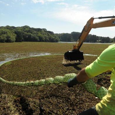  CAXIAS DO SUL, RS, BRASIL, 19/11/2019Morador reclama de poças d´água que formam criadouro para mosquistos, de árvores cortadas e do acúmulo de algas no complexo.(Lucas Amorelli/Agência RBS)