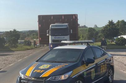 Transporte de caldeira de seis metros na BR-470.