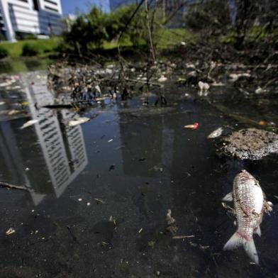  PORTO ALEGRE, RS, BRASIL, 21/11/2019- Peixes mortos no Arroio Dilúvio. (FOTOGRAFO: LAURO ALVES / AGENCIA RBS)