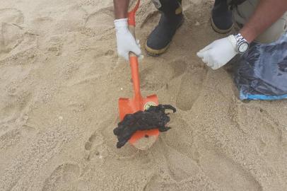  **EM BAIXA**QUISSAMÃ, RJ, BRASIL, 25/11/2019- Fragmentos de óleo recolidos em praia de Quissamã. Foto: Defesa Civil de Quissamã / Divulgação)