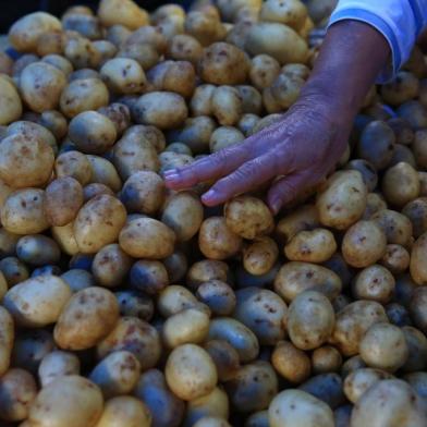  PORTO ALEGRE -RS- BR - 13.04.2019Feira Ecológica da Redenção.Batata.FOTÓGRAFO: TADEU VILANI AGÊNCIARBS Editoria Campo e Lavoura