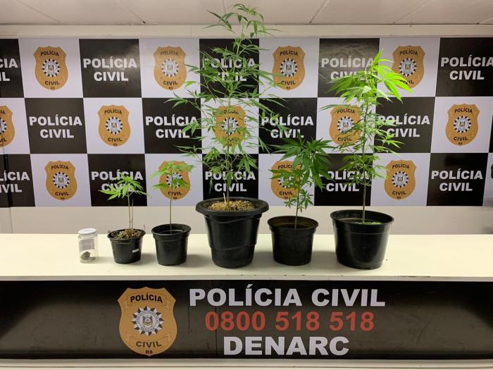 Polícia Civil / Divulgação 