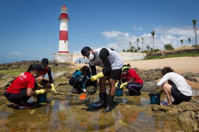 VoluntÃ¡rios fazem mutirÃ£o de limpeza da praia de ItapuÃ£SALVADOR, BA, 27.10.2019 - ÓLEO NO LITORAL DO NORDESTE - Voluntários fazem mutirão de limpeza da praia de Itapuã, em Salvador, neste domingo (27).(Foto: Fernando Vivas/Folhapress)