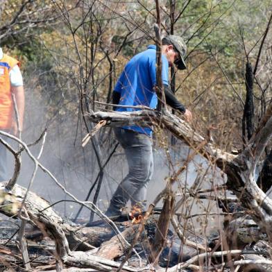  Após o Corpo de Bombeiros realizar um sobrevoo, na tarde desta terça-feira (17), sobre a Área de Proteção Ambiental Municipal Alter do Chão, o governo do Estado considerou extintos os três principais focos de incêndio registrados na região de Santarém. Foto: JADER PAES / AG. PARÁIndexador: JADER 338