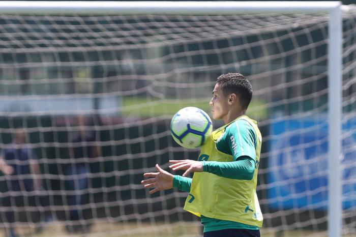 Palmeiras / Divulgação