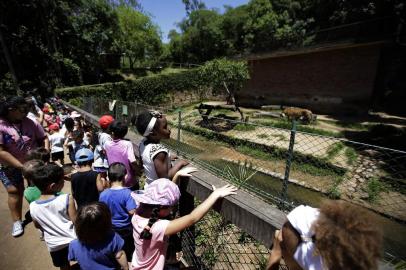  Sapucaia do Sul, RS, BRASIL, 06/12/2019-Crianças que tiveram dinheiro de passeio roubado vão ao zoológico(FOTOGRAFO: LAURO ALVES / AGENCIA RBS)<!-- NICAID(14350331) -->