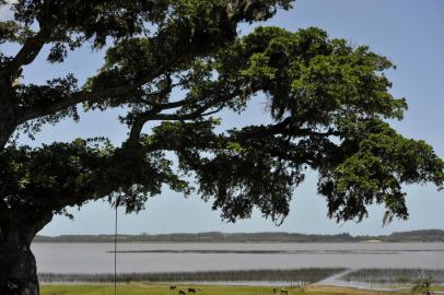  CAXIAS DO SUL, RS,  BRASIL, 09/12/2019A Área de Preservação Ambiental (APA) Itapeva, em Torres, completou 20 anos no dia 7 de dezembro, como importante unidade de conservação e biodiversidade em fauna e flora, incluindo espécies protegidas como as Bromélias e, entre os animais, o Tuco-tuco.(Lucas Amorelli/Agência RBS)