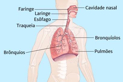 Info impacto baixa umidade