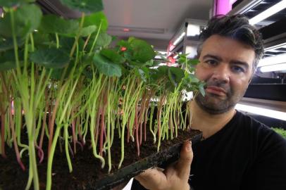  PORTO ALEGRE -RS- BR - 04.12.2019Fazenda indoor de microgreens.Matheus Von Muhlenn, da Urban Farmcy.FOTÓGHRAFO: TADEU VILANI AGÊNCIARBS - Editoria/Caderno: Caderno Doc<!-- NICAID(14347594) -->