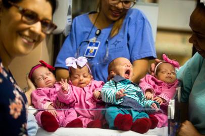 PORTO ALEGRE, RS, BRASIL, 12-12-2019: A mãe dos quadrigêmeos, Ana Caroline Rocha Porto (E), com os bebês Lauren (laço rosa escuro), Larissa (laço roxo), Heitor e Lavínia (laço rosa claro) na UTI neonatal do Hospital Santa Casa. Eles vão para casa com os pais Leandro Cazartelli Machado e Ana Caroline Rocha Porto em Bagé. (Foto: Mateus Bruxel / Agência RBS)<!-- NICAID(14357493) -->