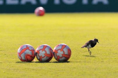  CAXIAS DO SUL, RS, BRASIL, 28/03/2019. SER Caxias x Aimoré, jogo de volta das quartas-de-final do Campeonato Gaúcho (Gauchão 2019) e realizado no estádio Centenário. (Porthus Junior/Agência RBS)