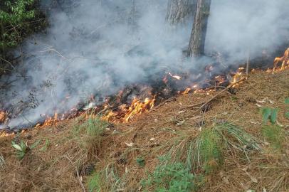 incêndio, Morro da Embratel