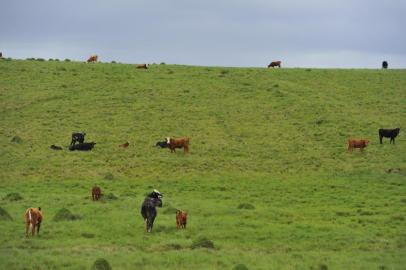  DILERMANDO DE AGUIAR, RS, BRASIL, 06/11/2015 - O produtor Everton Luís Fontana Caviquioli, teve 50 cabeças de gado furtada sem julho deste ano em sua propriedade, na localidade de Passo do Bento, no interior de Dilermando de Aguiar. (FOTO GERMANO RORATO / AGÊNCIA RBS)