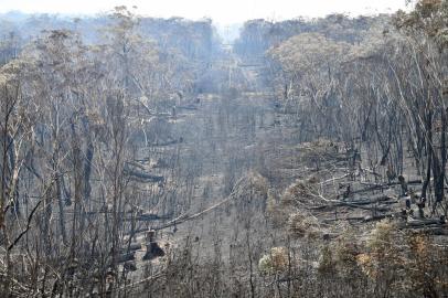 A view of the landscape with burnt trees after a bushfire in Mount Weison in Blue Mountains, some 120 kilometres northwest of Sydney on December 18, 2019. - Australia this week experienced its hottest day on record and the heatwave is expected to worsen, exacerbating an already unprecedented bushfire season, authorities said on December 18. (Photo by Saeed KHAN / AFP)<!-- NICAID(14362761) -->