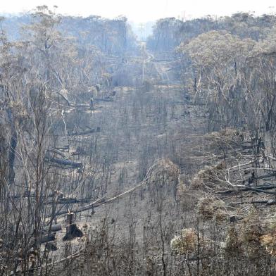 A view of the landscape with burnt trees after a bushfire in Mount Weison in Blue Mountains, some 120 kilometres northwest of Sydney on December 18, 2019. - Australia this week experienced its hottest day on record and the heatwave is expected to worsen, exacerbating an already unprecedented bushfire season, authorities said on December 18. (Photo by Saeed KHAN / AFP)<!-- NICAID(14362761) -->