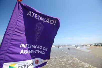  TRAMANDAÍ, RS, BRASIL, 02/01/2019- Infestação de águas-vivas em Tramandaí.(FOTOGRAFO: LAURO ALVES / AGENCIA RBS)<!-- NICAID(13898680) -->