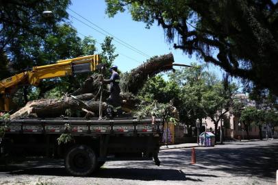  PORTO ALEGRE, RS, BRASIL - 24.12.2019 - Árvores cortadas na Rua da República, Cidade Baixa, Porto Alegre. (Foto: Jefferson Botega/Agencia RBS)Indexador: Jeff Botega