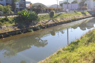 Pouco mais de um mês após os primeiros registros de peixes mortos em grande volume no Arroio Dilúvio, na Avenida Ipiranga, em Porto Alegre, o local voltou a chamar atenção de quem passa por alguns trechos de sua extensão. Nesta terça-feira (24), muitas algas têm aparecido à margem do arroio ¿ o que, somado à sujeira e ao baixo nível da água, contribui para um cenário de mau-cheiro.