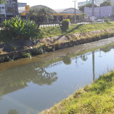 Pouco mais de um mês após os primeiros registros de peixes mortos em grande volume no Arroio Dilúvio, na Avenida Ipiranga, em Porto Alegre, o local voltou a chamar atenção de quem passa por alguns trechos de sua extensão. Nesta terça-feira (24), muitas algas têm aparecido à margem do arroio ¿ o que, somado à sujeira e ao baixo nível da água, contribui para um cenário de mau-cheiro.