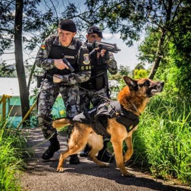 Morre cão policial da Brigada Militar de Caxias