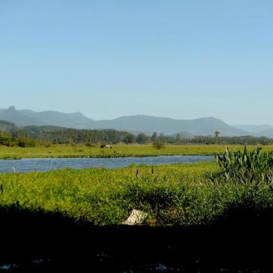  CAXIAS DO SUL, RS,  BRASIL, 09/12/2019A Área de Preservação Ambiental (APA) Itapeva, em Torres, completou 20 anos no dia 7 de dezembro, como importante unidade de conservação e biodiversidade em fauna e flora, incluindo espécies protegidas como as Bromélias e, entre os animais, o Tuco-tuco.(Lucas Amorelli/Agência RBS)