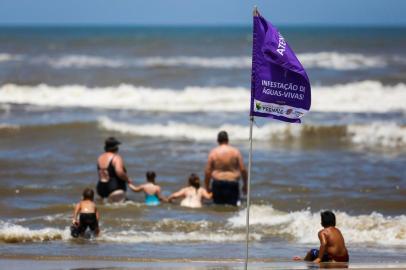  IMBÉ, RS, BRASIL - 29/12/2019Bandeira alerta banhistas na beira da praia de Imbé sobre infestação de águas-vivas no mar. O número de lesões aumentou para 26 mil casos no litoral no RS. (Foto: Mateus Bruxel/Agência RBS)<!-- NICAID(14373591) -->