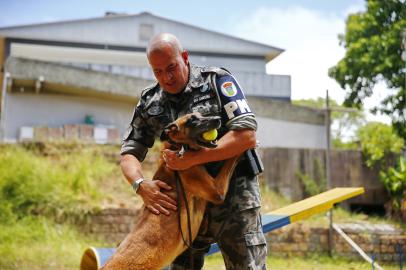 Cães da BM