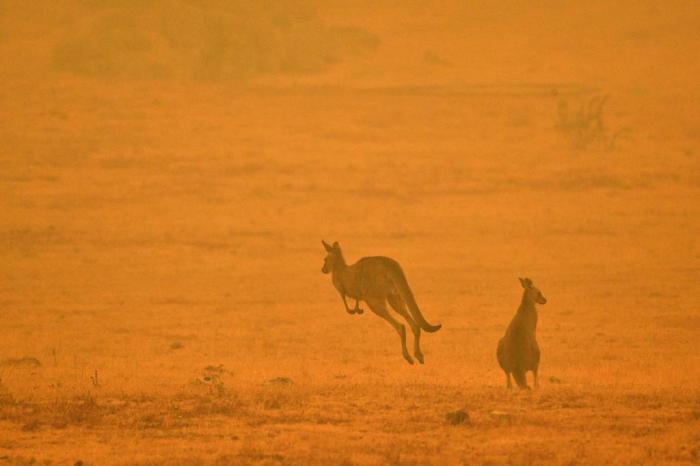 SAEED KHAN / AFP