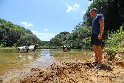  Imagens da estiagem em Soledade, RS. Propriedade de Eduardo Ceccon. Vacas no açude e produção de soja.<!-- NICAID(14386575) -->