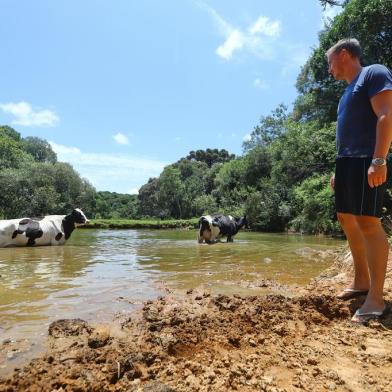  Imagens da estiagem em Soledade, RS. Propriedade de Eduardo Ceccon. Vacas no açude e produção de soja.<!-- NICAID(14386575) -->