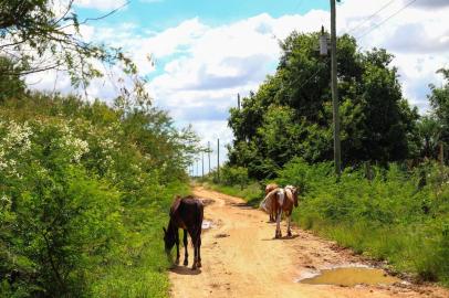  CHARQUEADAS, RS - 21/03/2019 -  Projeto de mineração de carvão na Região Metropolitana, em licenciamento pela Fepam, desperta preocupação em ambientalistas e moradores. (OMAR FREITAS \ AGENCIA RBS)<!-- NICAID(14012305) -->