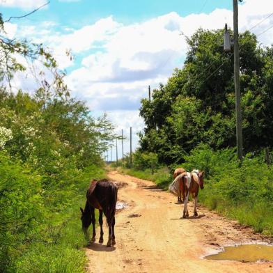  CHARQUEADAS, RS - 21/03/2019 -  Projeto de mineração de carvão na Região Metropolitana, em licenciamento pela Fepam, desperta preocupação em ambientalistas e moradores. (OMAR FREITAS \ AGENCIA RBS)<!-- NICAID(14012305) -->