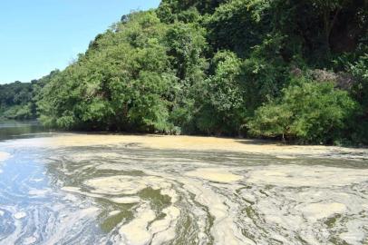 Espuma aparece no rio Taquari, entre as cidades de Santa Tereza e Lajeado. Defesa Civil de Estrela percorreu o local e fotografou a presença da espuma.<!-- NICAID(14391084) -->