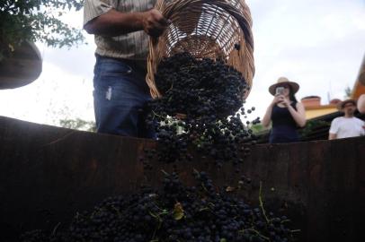  CAXIAS DO SUL, RS, BRASIL (15/01/2020)Imprensa e convidados conhecem os passeios que serão oferecidos durante a 14ª La Prima Vendemmia, em Nova Roma do Sul. A festa ocorre nos dias 24, 25, 26 e 31 de janeiro e 1 e 2 de fevereiro.  (Antonio Valiente/Agência RBS)