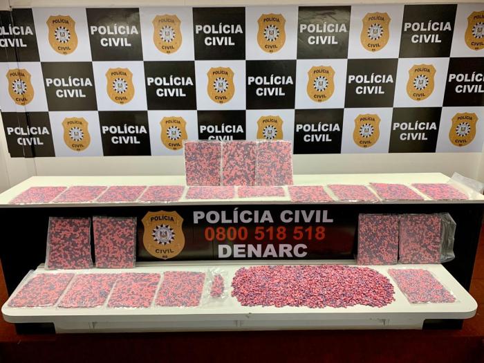 Polícia Civil / Divulgação