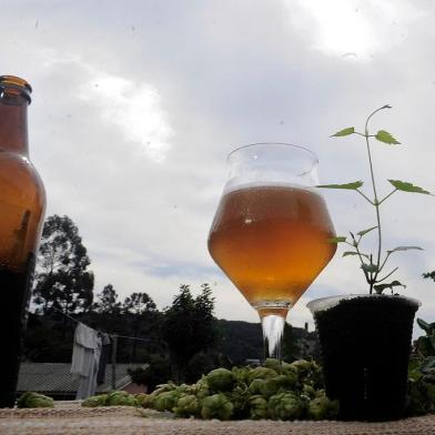 NOVA ROMA DO SUL, RS, BRASIL, 30/04/2018 - Reportagem aborda produção de Lúpulo na Serra. O lúpulo é um importante insuma para a fabricação de cervejas.  Guilherme de Bastiani (NA FOTO), é responsável por umas das primeiras plantações no estado. além de comercializar as mudas, de Bastiani produz cerveja artesanal. (Marcelo Casagrande/Agência RBS)<!-- NICAID(13527166) -->