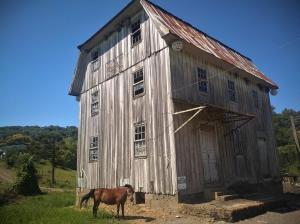 Passeios na Colônia / Divulgação