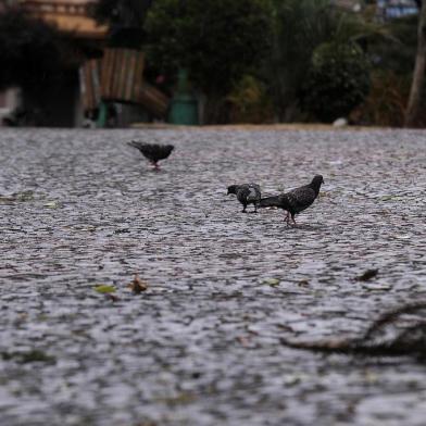  CAXIAS DO SUL, RS, BRASIL, 31/12/2019 - Último dia do ano foi marcado com ruas quase desertas e pancadas de chuva. (Marcelo Casagrande/Agência RBS)