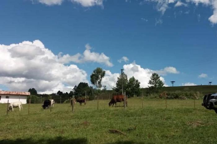 Patrulhamento Ambiental / Divulgação