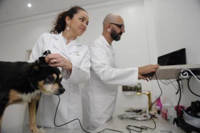  CAXIAS DO SUL, RS , BRASIL (10/02/2020)Caxias tem o primeiro consultório da Serra voltado exclusivamente a problemas dermatológicos de cães e gatos. O espaço é comandado por Mônica Cabral Cardoso e Ramon Emílio Munhoz. (Antonio Valiente/Agência RBS)