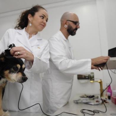  CAXIAS DO SUL, RS , BRASIL (10/02/2020)Caxias tem o primeiro consultório da Serra voltado exclusivamente a problemas dermatológicos de cães e gatos. O espaço é comandado por Mônica Cabral Cardoso e Ramon Emílio Munhoz. (Antonio Valiente/Agência RBS)