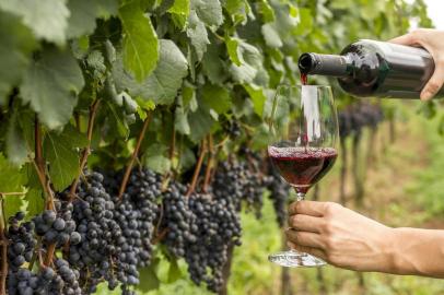 Setor vinícola , uva e vinho, vinhos na Expointer