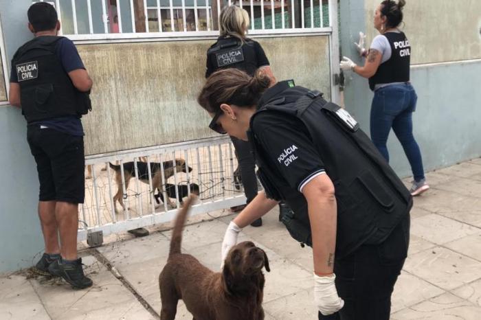 Divulgação / Polícia Civil