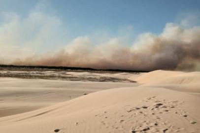 Incêndio em área de reflorestamento de Palmares do Sul. Foto: Corpo de Bombeiros/Divulgação<!-- NICAID(14428278) -->